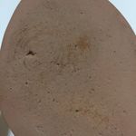 Coach Vienna Gold Pebble Leather T-Strap Wedge Sandal Photo 9