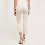 Anthropologie Pilcro and the Letterpress Blush Striped Cropped Pant Size 30 Photo 3