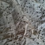 Loft Black Ruffled Bubble Mini Skirt Photo 2