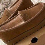 UGG Platforms Photo 0