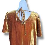Loft Velvet Top Gold Short Sleeve Tie Back Blouse Flutter Sleeves Small Holiday Photo 5