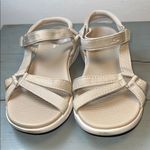 Skechers  on the go goga max size10.                                      ordr168 Photo 4