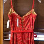 Anthropologie NWT $465 x V. Chapman Naomi Lace Corset Flounce-Hem Midi Dress 10 Photo 8