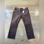 st. john's bay  Women's Corduroy Pants in Rich Brown size 16P Photo 1