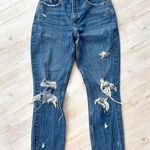 Abercrombie & Fitch  Curve Love‎ High Rise Mom Jean | Size 26 Photo 0