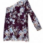 Free People Rosalie Embroidered One Shoulder Mesh Mini Dress in Wine Size 4 Photo 3