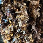 Cozy Scarf Winter Brown Fluffy Photo 5