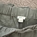 Aerie  Sage Green Casual Shorts Photo 1