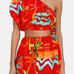 Farm Rio NWT  Ipanema Red Floral Cutout Mini Dress Photo 0