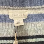 Caslon  Blue, White, and Black Striped Sweater Photo 4