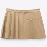 ZARA Pinstripe Box Pleat Skirt Photo 1