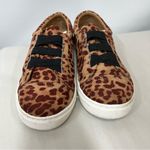 Lane Bryant Leopard Print Sneakers Size 8W animal print Photo 1