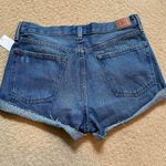 Urban Outfitters BDG High Waisted Jean Shorts Photo 1