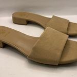 Sam & Libby  Karissa Tan suede Slides Sandals Strap Heel Shoe Size 11 nude party Photo 0