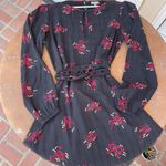 Anthropologie The Odells  dress Photo 4