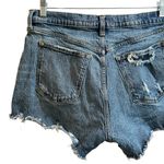 Abercrombie & Fitch  Mom Short Mid Rise Size 31 / 12 Photo 5