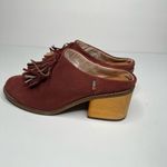 Toms Tom’s clogs size 7 Photo 3