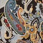 Veronica M ππ Midi Skirt ~ Multi-Color Paisley Print Medium NWOT Photo 3