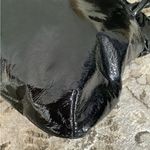 Salvatore Ferragamo DRESSY BAG🌹🌹 Photo 11