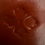 Patricia Nash | ladies Cametti trifold wallet Photo 15