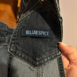 Blue Spice Hand Embroidered Overall Shorts Stretchy Summery Overalls Koi Fish Pond Photo 3