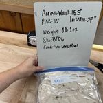 Bar III High-Waist Wide-Leg Pants With Tie Belt Ivory Cream Size Large Photo 8