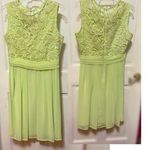 Eva Mendes NY & Company | Light Green Dress Size 6 Photo 0