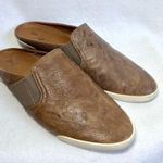 Frye  Melanie Mules 8.5 8.5M Shoes Slip On Leather Open Back Photo 0
