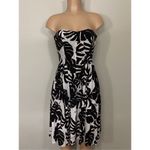 New. Rachel Roy palm leaf bandeau dress. Size 4. Black Photo 4
