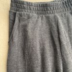 American Eagle  Outfitters Gray Fleece Pants Photo 3