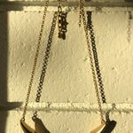 CAbi Jasper And Brass Crescent Necklace Photo 4