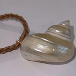 Free People NWT  Serefina Mother of Pearl Large Shell Necklace Photo 6