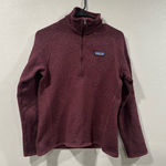 Patagonia  Better Sweater Size Medium Photo 0