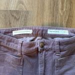 Pilcro and the Letterpress  Mauve Straight Leg Pants Photo 2