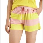 Style & Co  Junior's Knit Shorts Pink and Yellow Stripe Size XL Photo 0