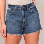 Abercrombie & Fitch Curve Love High Rise Mom Short Photo 0