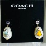 Coach NWT Gold-Tone Crystal & Painted Imitation Pear Mismatch Drop Earrings Photo 0