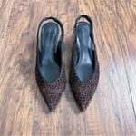 Donald Pliner Donald J Pliner • Gema Low-Heel Leopard Slingback Pumps brown velvet point toe Photo 4