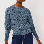 Ann Taylor  Animal Print Dolman Top Photo 0
