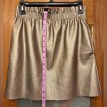 ZARA  Women Knit Metallic Elastic Waist Aline Mini Skirt NWT-S Photo 4