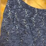 Alex Evenings Womens Sz 16 Wedgewood Blue 3/4 Sleeve Plus Size Lace Chiffon Gown Photo 10