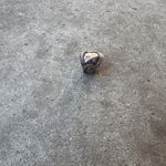 Vintage Native American 925 Sterling Silver Engraved Women’s Size 7.5” Blue Photo 10