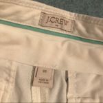 J.Crew Watermelon Sugar Shorts Photo 3