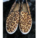 Birdies  The Swift Cheetah Leopard Animal Print Calf Hair Slip On Flat Sneakers 7 Photo 2