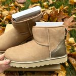 NWT  Authentic mini shine boots / uggs / Ugg​ Photo 3