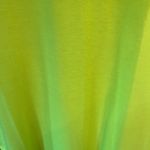 Sunshine‎ & Rodeos Neon Leopard Sleeve Top Size XL Green Photo 8