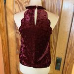 Altar'd State maroon velour top Photo 9