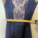 JS Collections  Navy Nude Lace Belted Knee Length Formal Dress Short Sleeve Sz 6 Photo 4