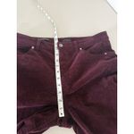 Talbots  Purple Burgundy Velvet Corduroy Straight Leg Pants 10 Holiday Xmas Photo 5