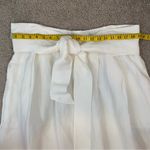 Vince  Belted Button Front Linen Blend Midi Skirt Ivory 1X Photo 8